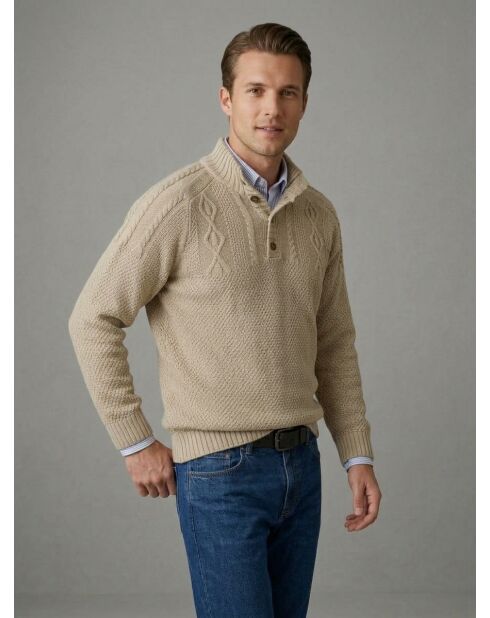 Lucas ecrufarbener ausgefallener Strickpullover mit Stehkragen