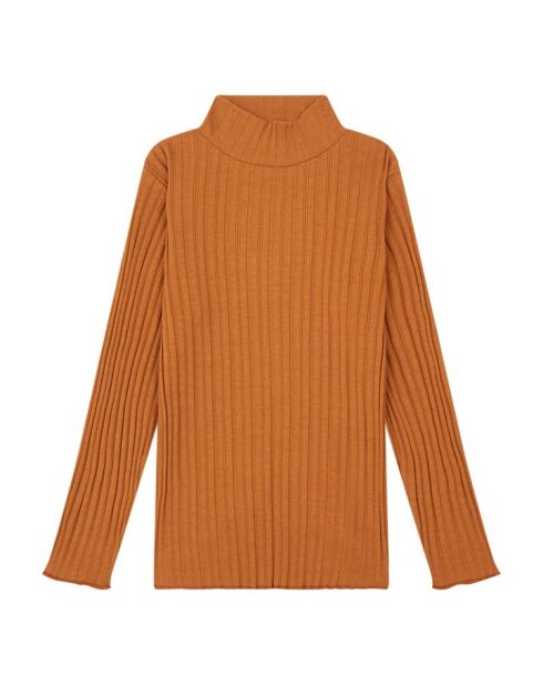 Maglione a collo alto Assiana in cotone color nocciola