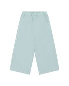Pantaloni dritti Roxan in cotone verde menta