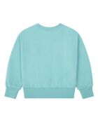 Rundhals-Sweatshirt Dolly Sage aus Baumwolle