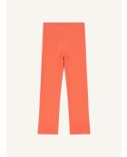 Legging Love Tangerine aus Baumwolle