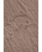 Tapis Nube 6000 taupe - 200x290 cm
