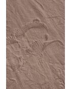 Tapis Nube 6000 taupe - 120x160 cm