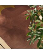 Tapis Riviera 707 marron - 160x230 cm
