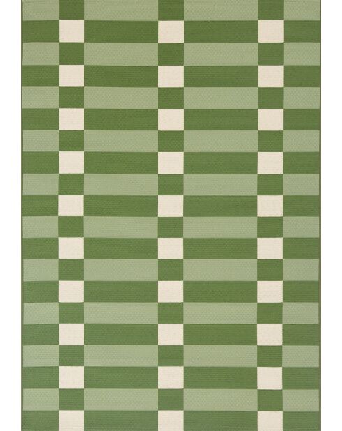 Tapis Riviera 706 vert - 160x230 cm