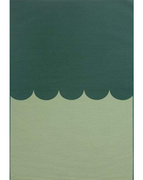 Tapis Riviera 707 vert - 200x285 cm