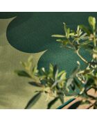 Tapis Riviera 707 vert - 200x285 cm