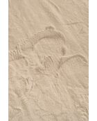 Tapis Nube 6000 crème - 120x160 cm