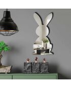 Zilveren decoratieve spiegel - 24x50 cm