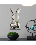 Zilveren decoratieve spiegel - 24x50 cm