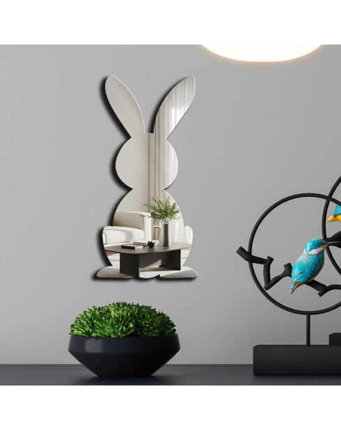 Miroir décoratif argenté - 24x50 cm