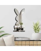 Zilveren decoratieve spiegel - 24x50 cm