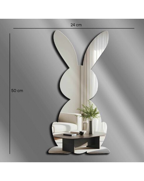 Zilveren decoratieve spiegel - 24x50 cm
