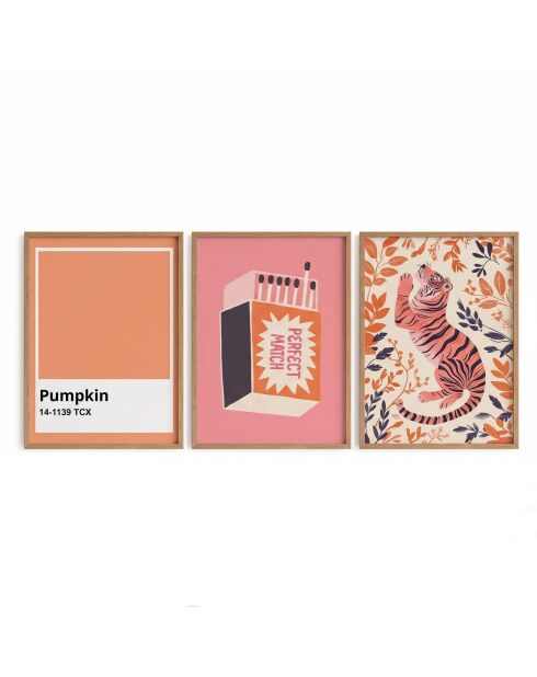 Lot de 3 tableaux décoratifs multicolore - 50x70 cm