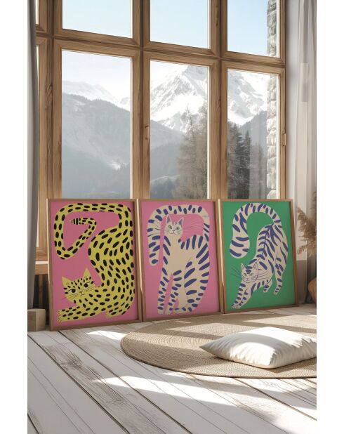 Lot de 3 tableaux décoratifs multicolore - 50x70 cm