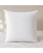 Oreiller anti-acarien en coton ferme blanc