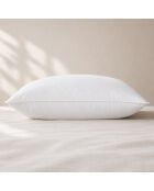 Oreiller anti-acarien en coton ferme blanc