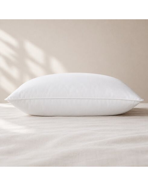 Oreiller anti-acarien en coton ferme blanc