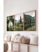 Lot de 3 tableaux décoratifs multicolore - 50x70 cm