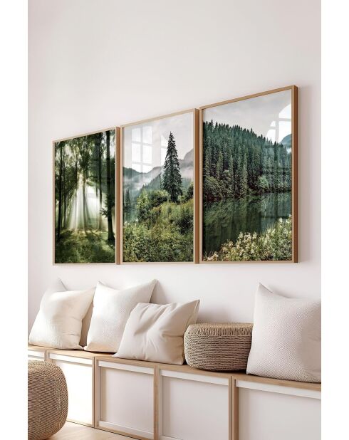 Lot de 3 tableaux décoratifs multicolore - 50x70 cm