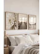 Lot de 3 tableaux décoratifs multicolore - 30x40 cm
