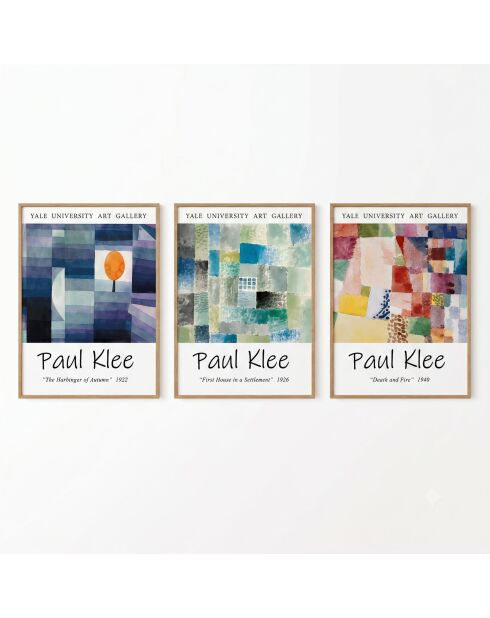 Lot de 3 tableaux décoratifs multicolore - 50x70 cm