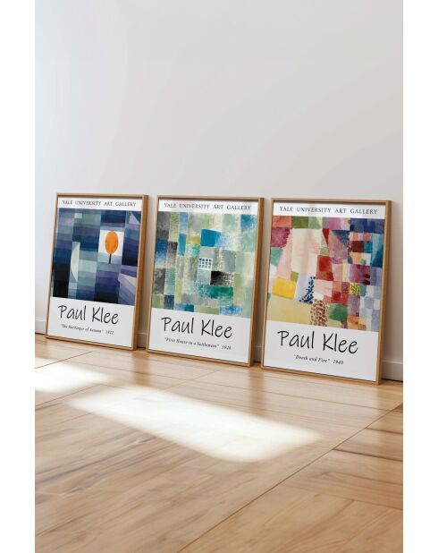 Lot de 3 tableaux décoratifs multicolore - 50x70 cm