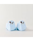 Confezione da 4 calzini Sausage Dog Tongue - Multicolore