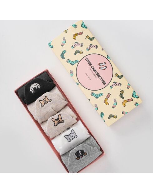 Pack de 5 calcetines con lengua para perros y gatos, multicolor