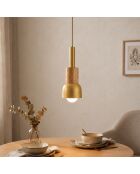 Suspension Elwood dorée - H.30-90 cm