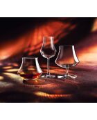 Set mit 6 transparenten Open-Up-Kristallgläsern für Whisky und Rum, 39 cl