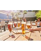 Lot de 6 verres à bière World Beer transparent - 32 cl