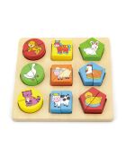 Les animoitiés multicolore - 20 x 20 x 2,5 cm