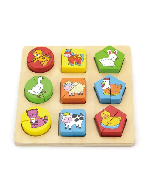 Les animoitiés multicolore - 20 x 20 x 2,5 cm