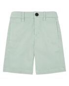 Shorts Chino Allen grigio-verdi in cotone