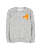 Pull en Coton Wind gris