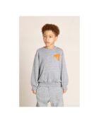 Pull en Coton Wind gris