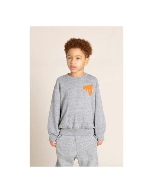 Pull en Coton Wind gris