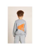 Pull en Coton Wind gris