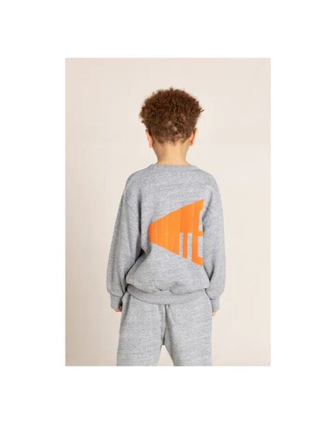 Pull en Coton Wind gris
