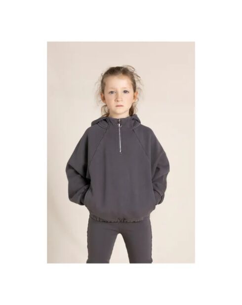 Sweat à capuche en Coton Jody gris