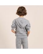 Sweat cJoel gris