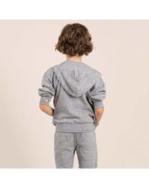 Sweat cJoel gris