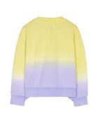 Sweat Alma lilas