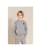 Sudadera Grey Blast