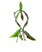 groen/olijfkleurige katoenen polsband
