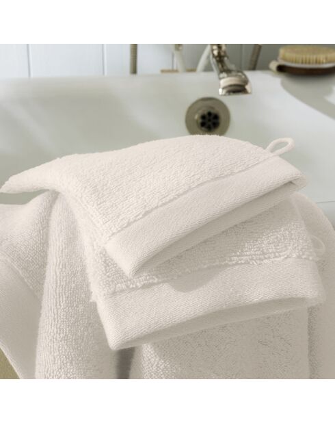 Lot de 2 gant de toilette en coton Softy ivoire - 15 x 21 cm