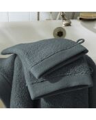 Lot de 2 gant de toilette en coton Softy orage - 15 x 21 cm