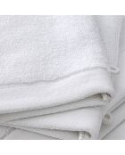 Lot de 2 gant de toilette en coton Softy neige - 15 x 21 cm