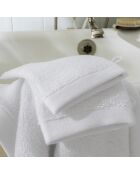 Lot de 2 gant de toilette en coton Softy neige - 15 x 21 cm